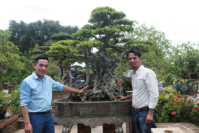 Báu vật 7 tỷ ở Hà Nội chưa công khai khiến dân chơi tò mò