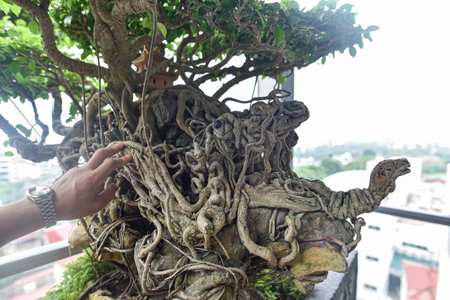 caycanhtientydantri-3-1601959704878.jpg