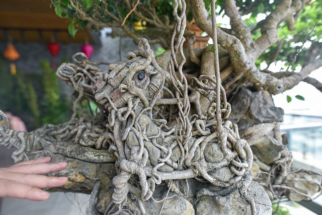 caycanhtientydantri-5-1601959704833.jpg