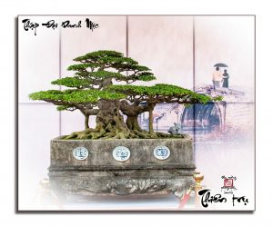 cuong1-1629165504.jpg