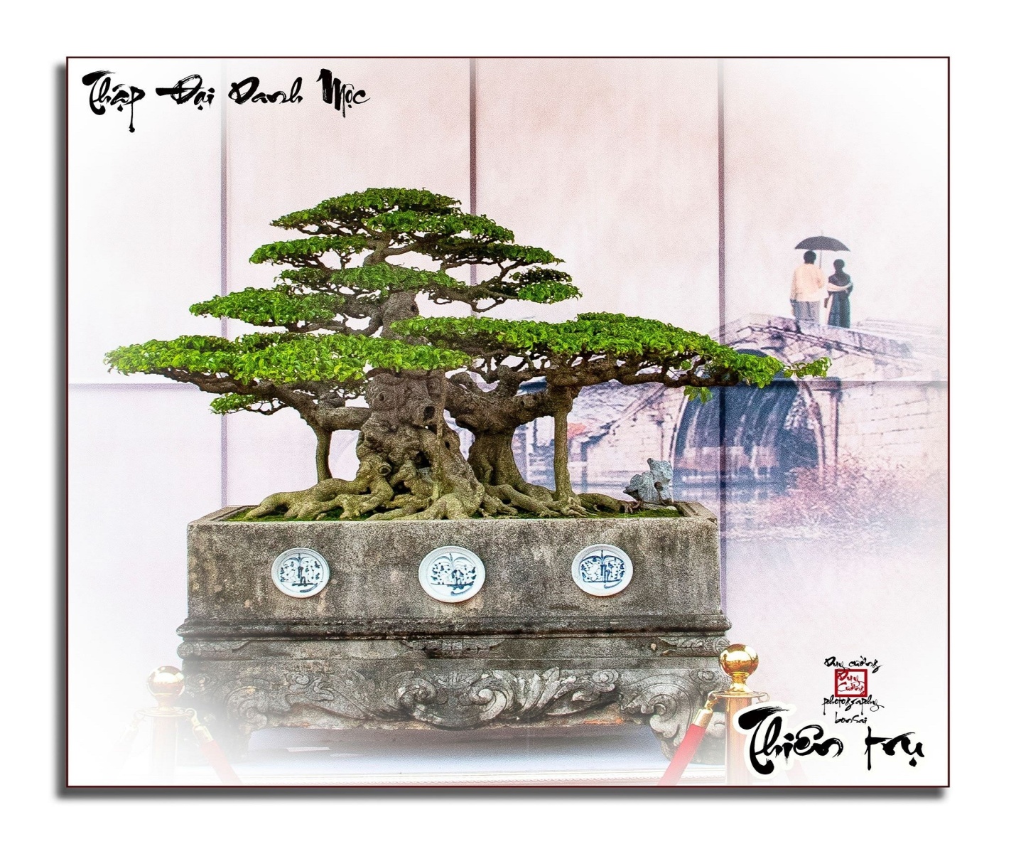 cuong1-1629165504.jpg