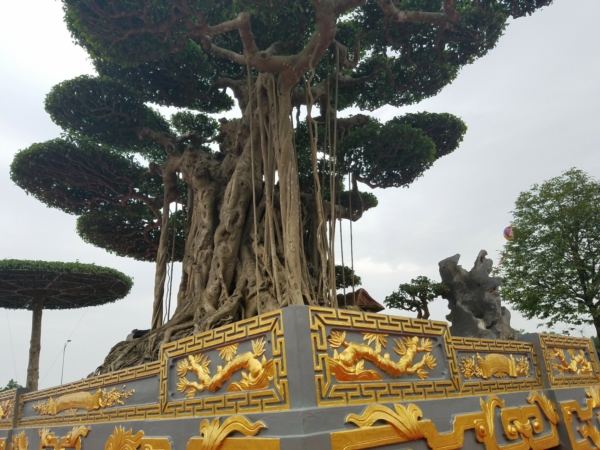 https://danviet.mediacdn.vn/upload/4-2018/images/2018-11-27/Tuyet-tac-dai-the-van-tung12-1543255164-width600height450.jpg