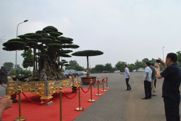 https://danviet.mediacdn.vn/upload/4-2018/images/2018-11-27/Tuyet-tac-dai-the-van-tung8-1543254028-width600height403.jpg