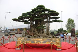 https://danviet.mediacdn.vn/upload/4-2018/images/2018-11-27/Tuyet-tac-dai-the-van-tung11-1543254028-width600height400.jpg