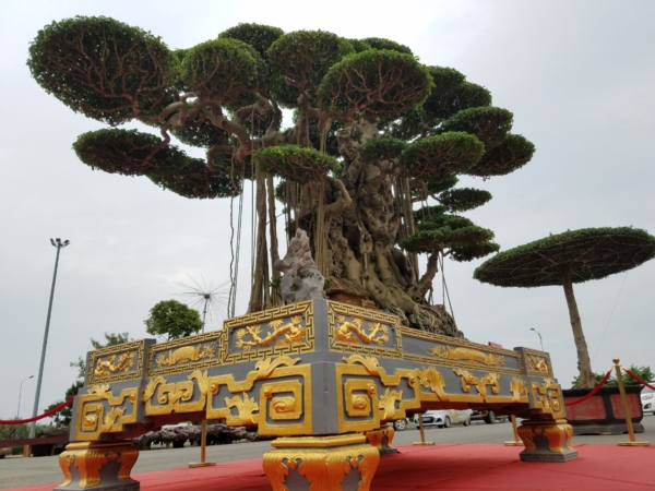 https://danviet.mediacdn.vn/upload/4-2018/images/2018-11-27/Tuyet-tac-dai-the-van-tung0-1543254028-width600height450.jpg