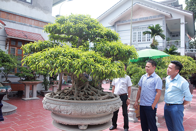 https://vnn-imgs-a1.vgcloud.vn/cdn.24h.com.vn/upload/3-2020/images/2020-09-25/anh1--2--1601005192-599-width650height433.jpg