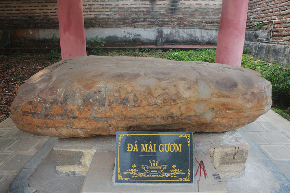 Lộc vừng “9 rồng cùng múa”, người dân không dám bẻ cành, bứt lá - 12