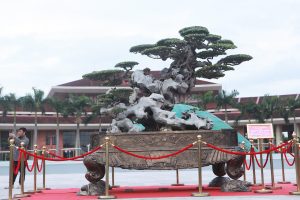 Ngỡ ngàng với huyền thoại sanh cổ ký đá kỳ vĩ nhất Việt Nam - 1