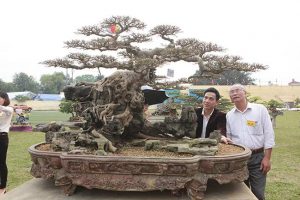 Những cây sanh thô ráp được "hét giá" tiền tỷ sau 10 năm tạo tác - 2