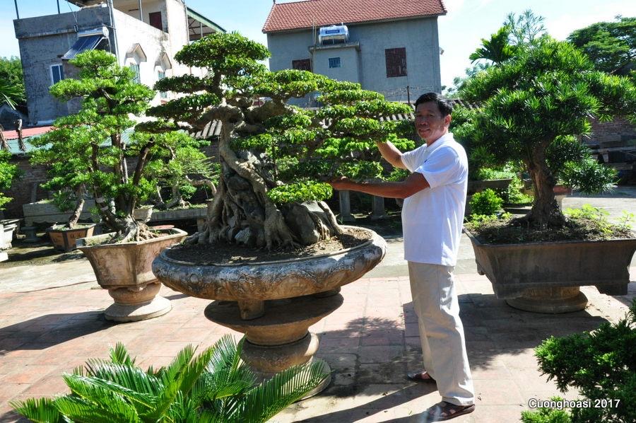 https://thuonghieuvaphapluat.vn/Images/hanhnm/2019/11/15/a2c531161bdb14891eb55c805781b89b.JPG