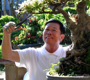 https://thuonghieuvaphapluat.vn/Images/hanhnm/2019/11/15/2f67fe6253fb381bba73d391dfe2f1c3.JPG