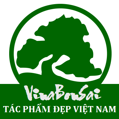 Tác Phẩm Đẹp Việt Nam
