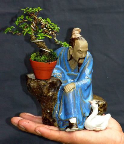 https://yeucaycanh.com/wp-content/uploads/images/stories/complete/lnvinh27.jpg