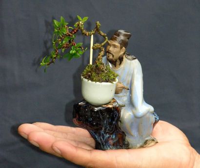 https://yeucaycanh.com/wp-content/uploads/images/stories/complete/lnvinh28.jpg